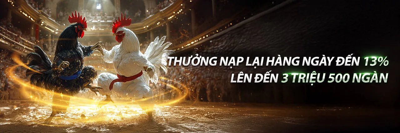 Sân đấu đá gà trực tuyến sôi động tại bat88 nhà cái